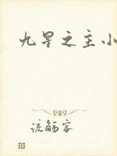 九星之主小说