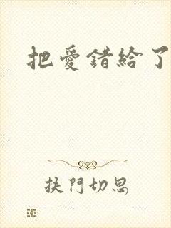 把爱错给了你