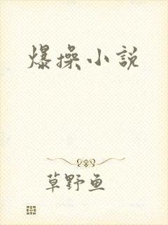 爆操小说封面
