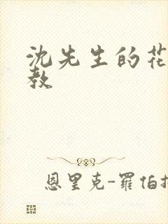 沈先生的花式管教