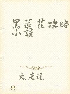 黑莲花攻略手册小说