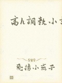 高h调教小说封面