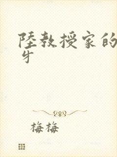 陆教授家的小月牙