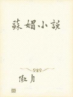 苏媚小说