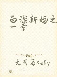 白洁新婚之夜第一章