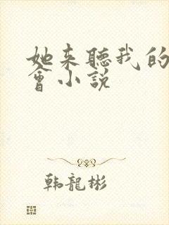 她来听我的演唱会小说