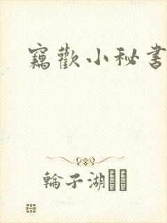 窃欢小秘书