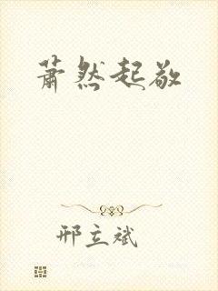 萧然起敬封面