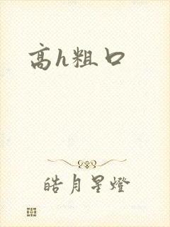 高h粗口