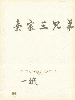秦家三兄弟封面