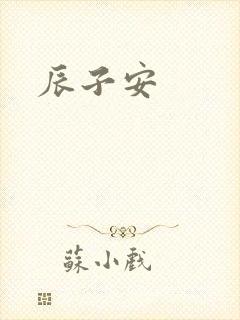 辰子安封面