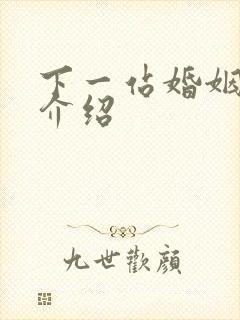 下一站婚姻剧情介绍