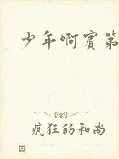 少年啊宾第二部