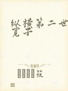 纵横第二世界 宽子