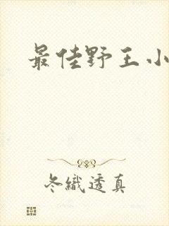 最佳野王小说封面