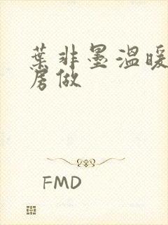 叶非墨温暖在厨房做封面