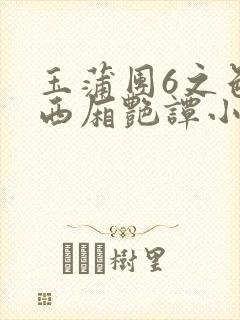 玉蒲团6之色情西厢艳谭小说封面