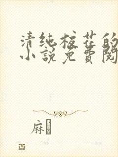 清纯校花的秘密小说免费阅读封面