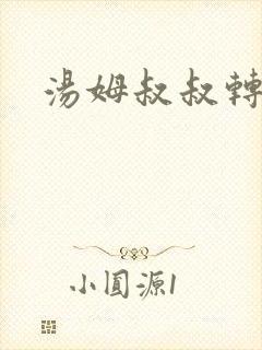 汤姆叔叔转接口