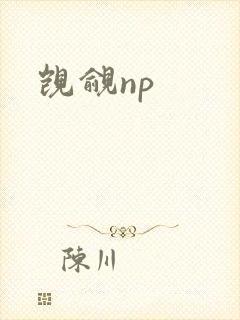 觊觎np