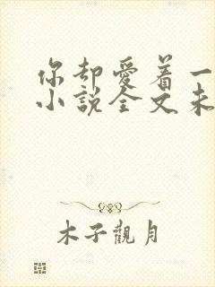 你却爱着一个他小说全文未删减免费