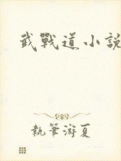武战道小说