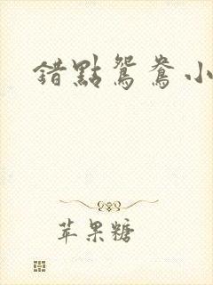 错点鸳鸯小说