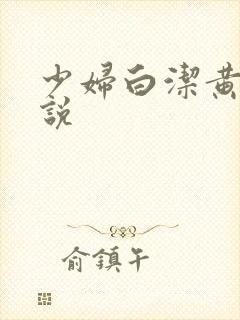 少妇白洁黄色小说