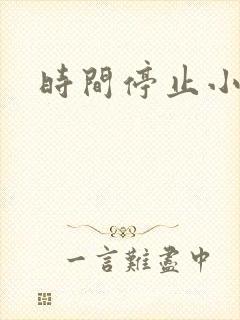 时间停止小说