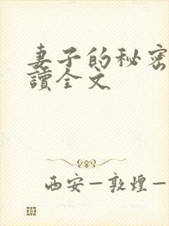 妻子的秘密免费读全文