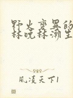 野火变异的父爱林晚林潮生
