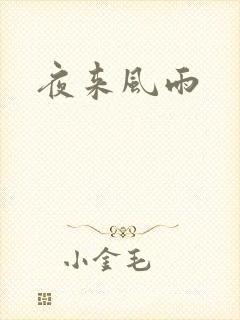 夜来风雨封面
