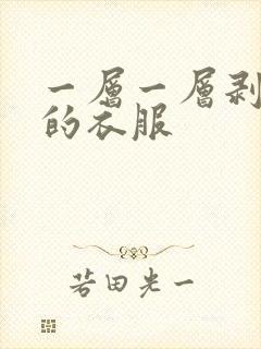 一层一层剥开你的衣服