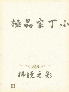 极品家丁小说