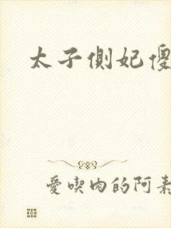 太子侧妃傻乎乎封面