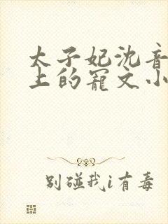 太子妃沈音和皇上的宠文小说