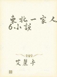 东北一家人1一6小说