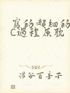 写的超细的多肉C过程原耽