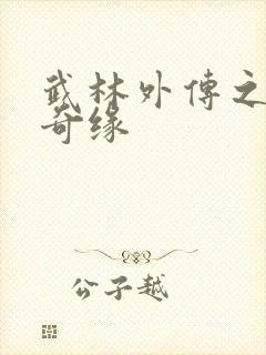 武林外传之同福奇缘