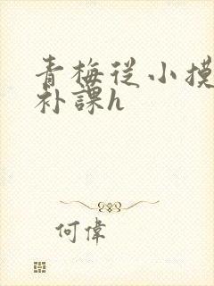 青梅从小摸到大补课h