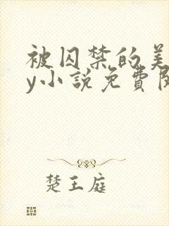 被囚禁的美人by小说免费阅读