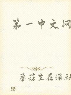 第一中文网