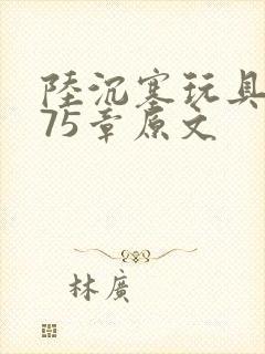 陆沉塞玩具高速75章原文