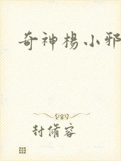 奇神杨小邪封面