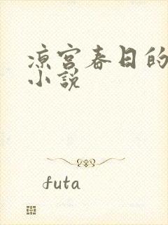 凉宫春日的忧郁小说