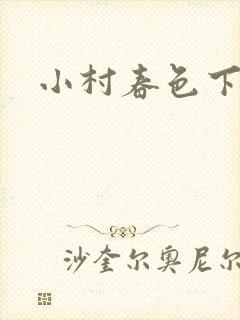 小村春色下载封面