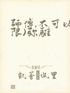 师傅,不可以(限)弥骓封面