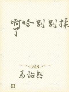 啊哈别别揉那处了