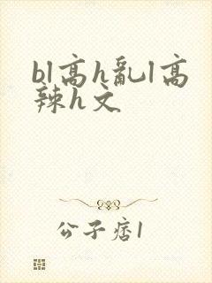 bl高h乱l高辣h文