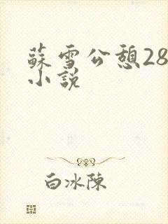 苏雪公憩28篇小说